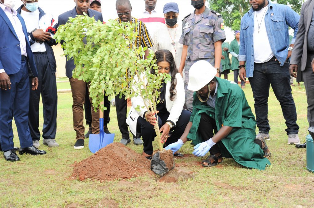 Journée de l’arbre au Togo : La représentation nationale honore et respecte la tradition